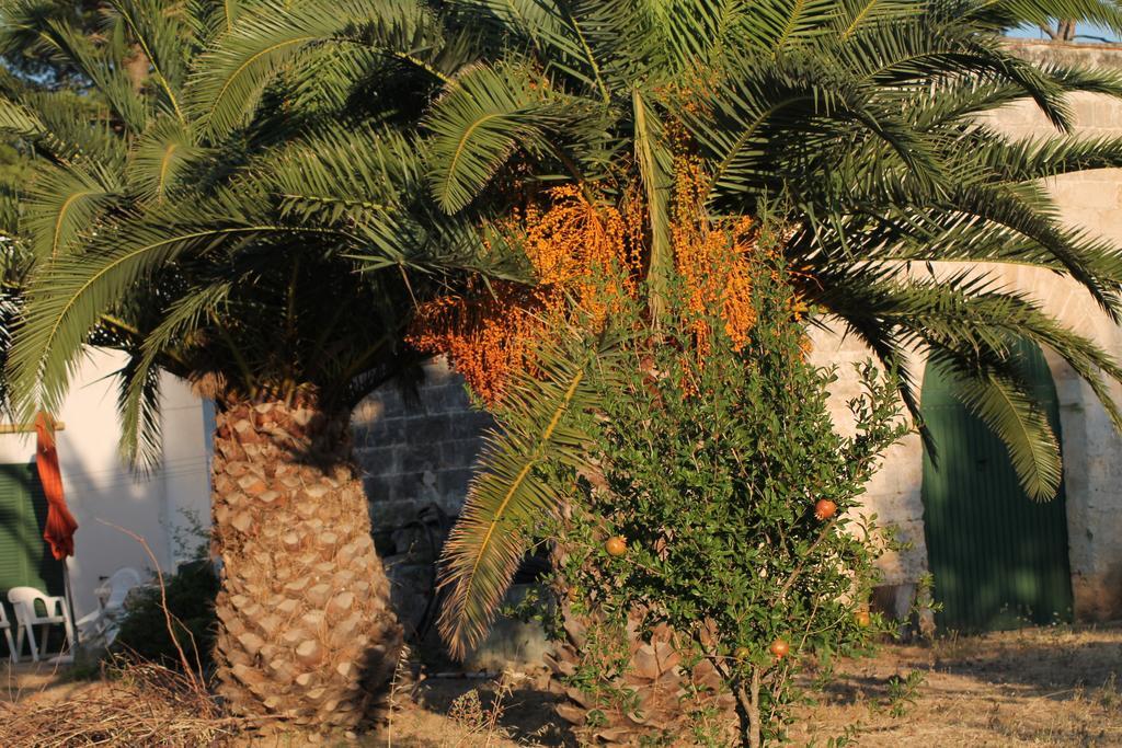 Masseria Vivi Il Salento Santa Caterina  Kamer foto