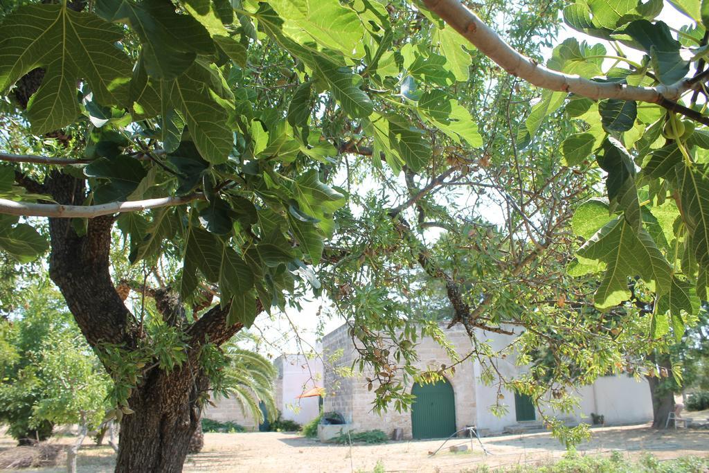Masseria Vivi Il Salento Santa Caterina  Kamer foto