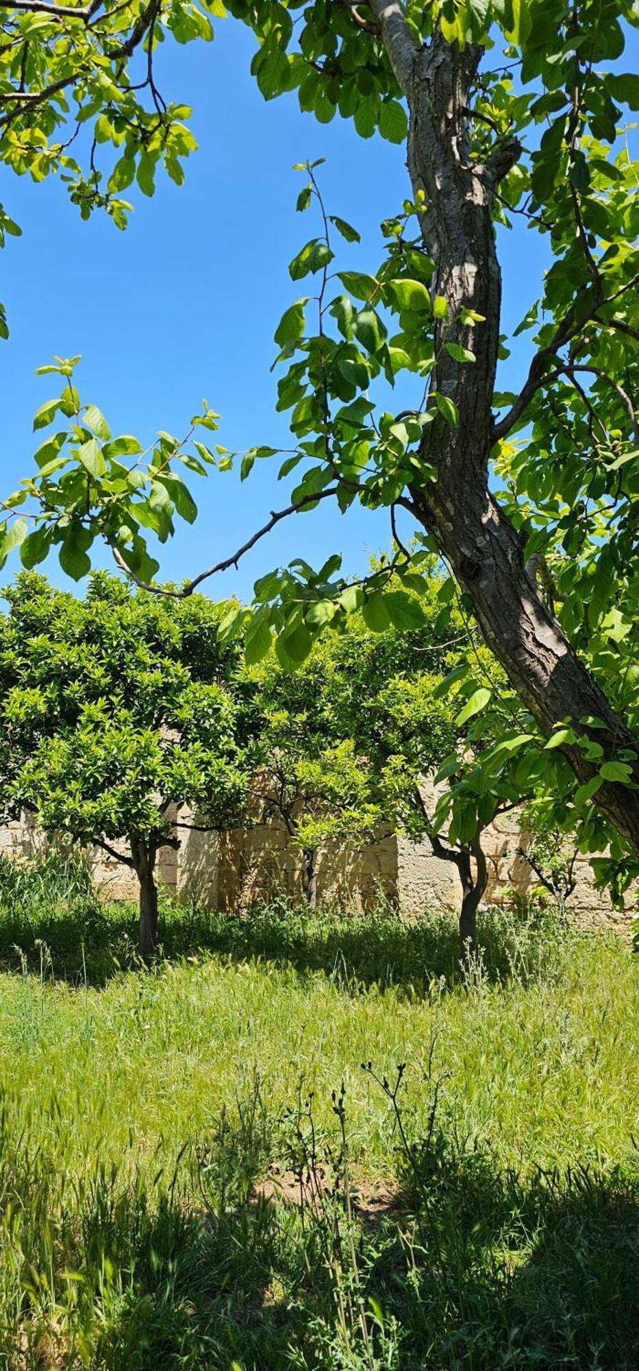 Masseria Vivi Il Salento Santa Caterina  Buitenkant foto