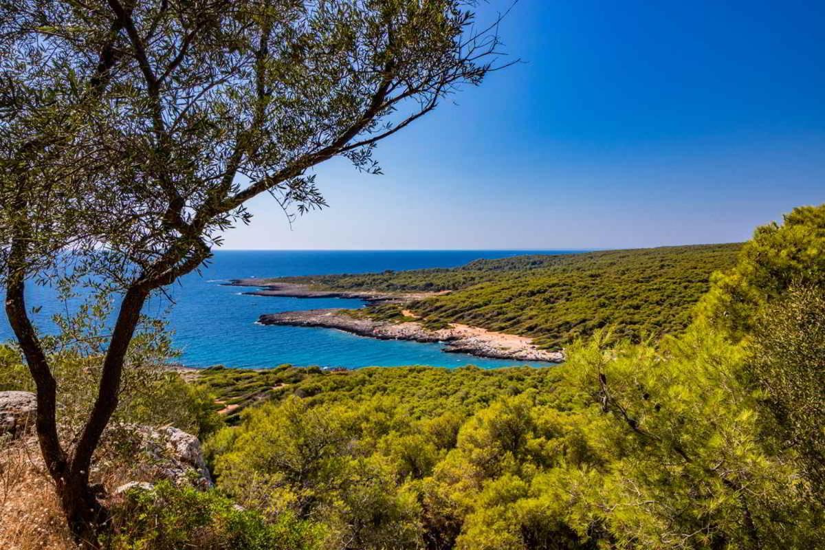 Masseria Vivi Il Salento Santa Caterina  Buitenkant foto