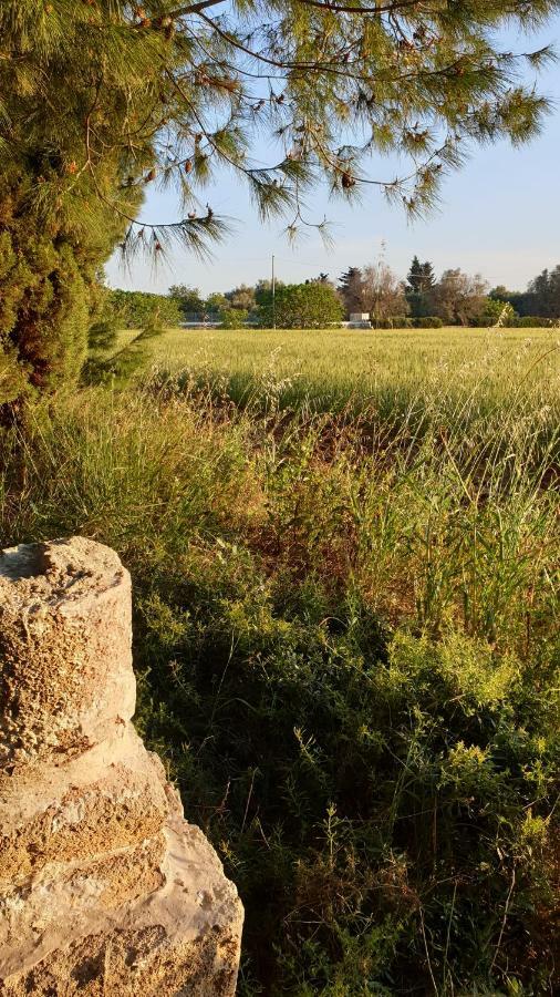 Masseria Vivi Il Salento Santa Caterina  Buitenkant foto